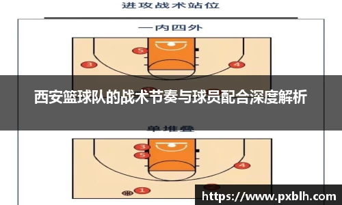 西安篮球队的战术节奏与球员配合深度解析