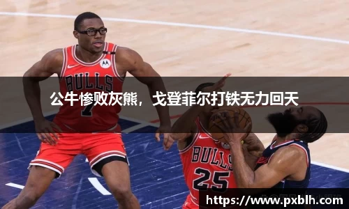 公牛惨败灰熊，戈登菲尔打铁无力回天