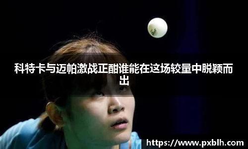 金年会官网