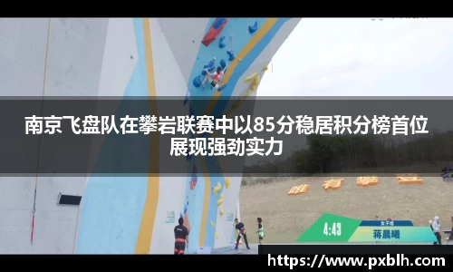 南京飞盘队在攀岩联赛中以85分稳居积分榜首位展现强劲实力
